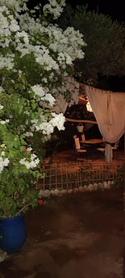 Dar Tadout Vendégház Aït Ourir Kültér fotó